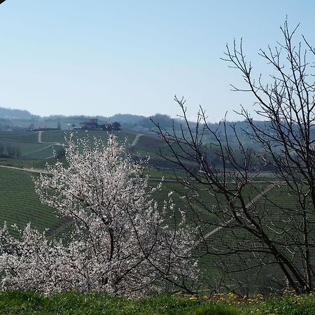 Tenuta Montanello B&B Castiglione Falletto Extérieur photo