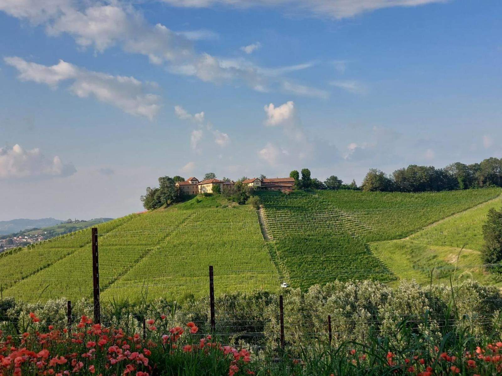 Tenuta Montanello B&B Castiglione Falletto Extérieur photo