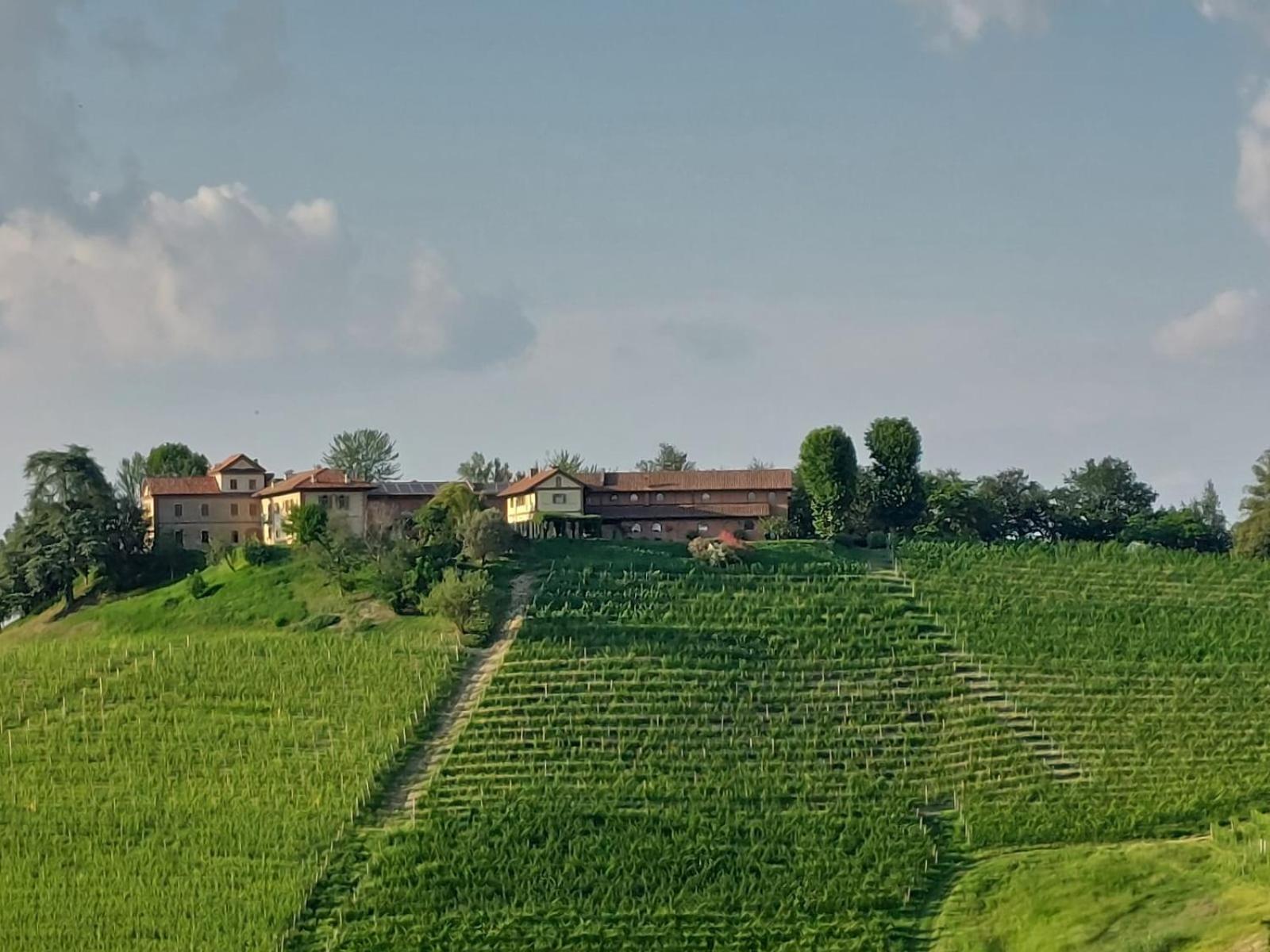 Tenuta Montanello B&B Castiglione Falletto Extérieur photo