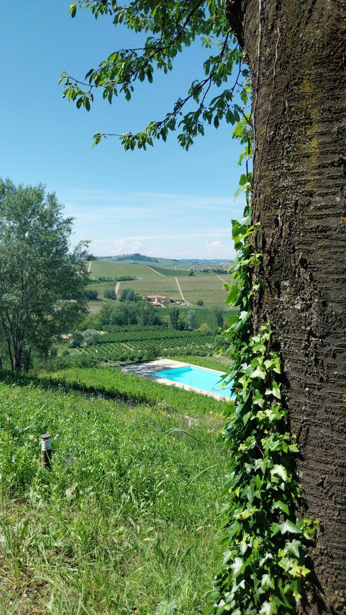 Tenuta Montanello B&B Castiglione Falletto Extérieur photo