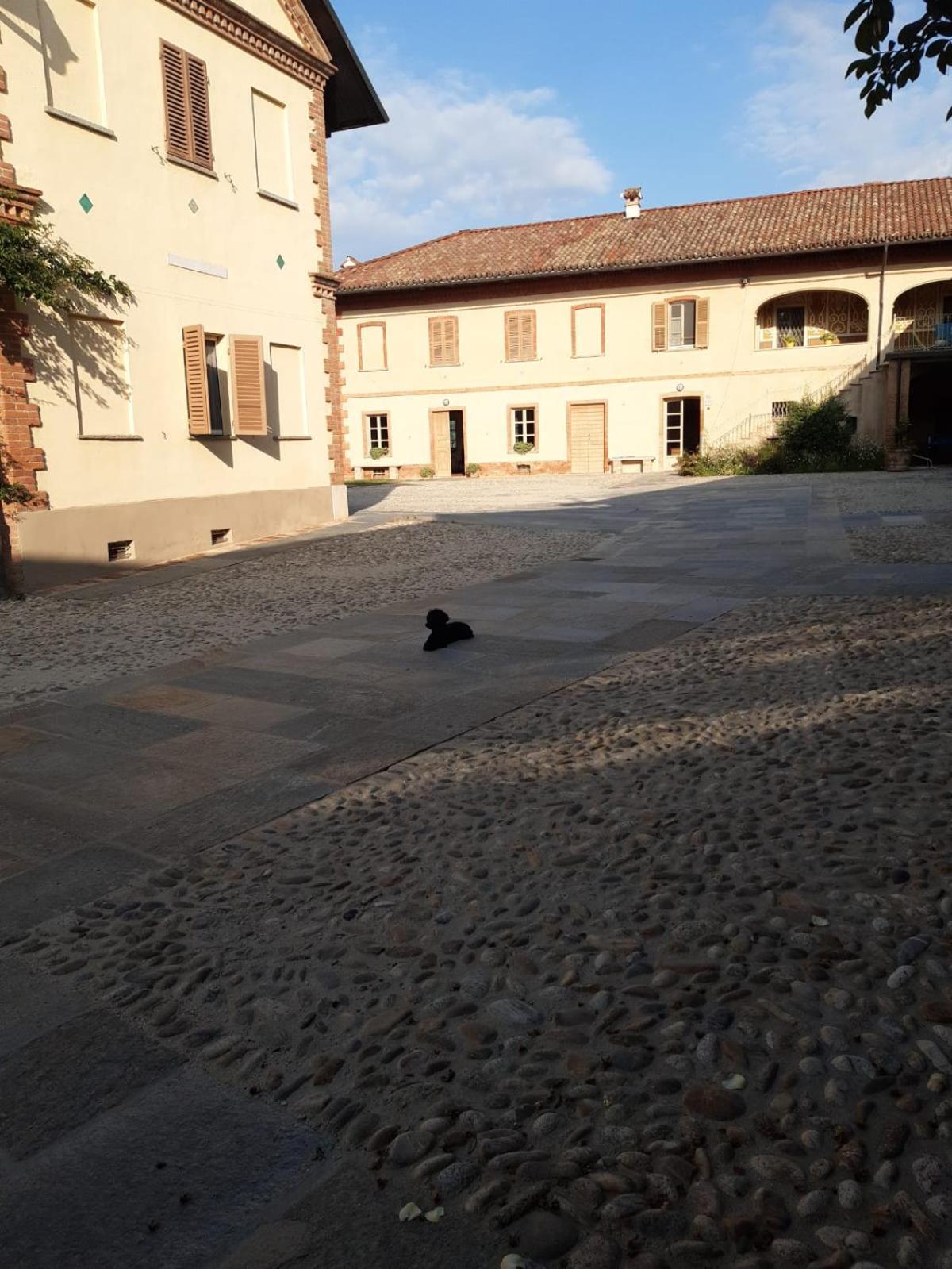 Tenuta Montanello B&B Castiglione Falletto Extérieur photo