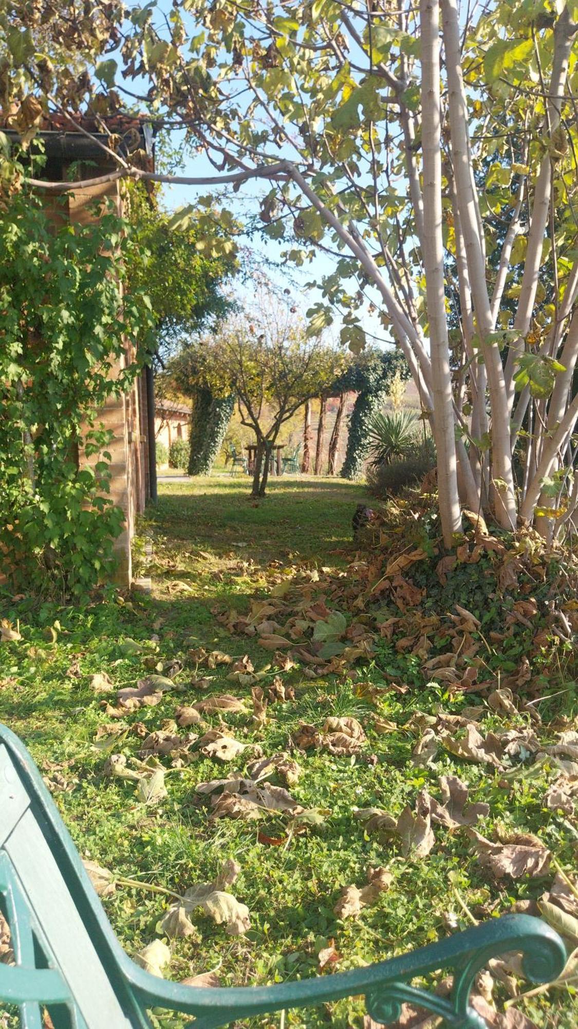 Tenuta Montanello B&B Castiglione Falletto Extérieur photo