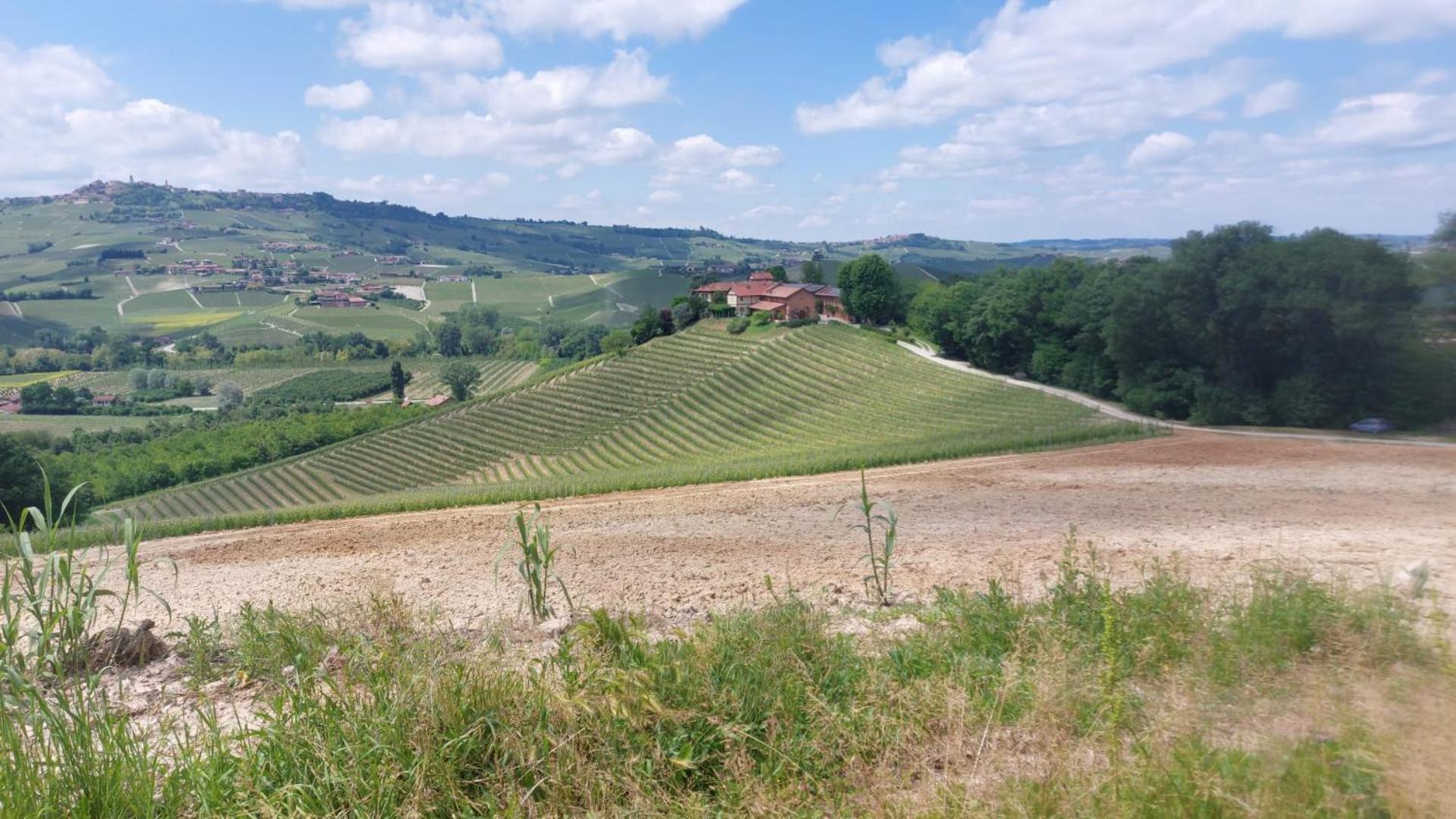 Tenuta Montanello B&B Castiglione Falletto Extérieur photo