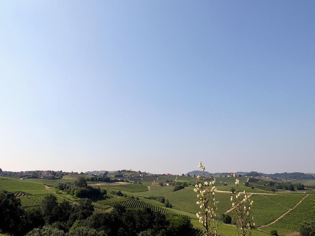 Tenuta Montanello B&B Castiglione Falletto Extérieur photo