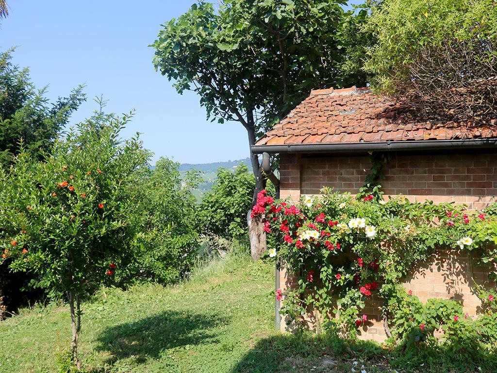 Tenuta Montanello B&B Castiglione Falletto Extérieur photo