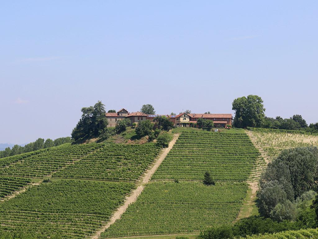 Tenuta Montanello B&B Castiglione Falletto Extérieur photo