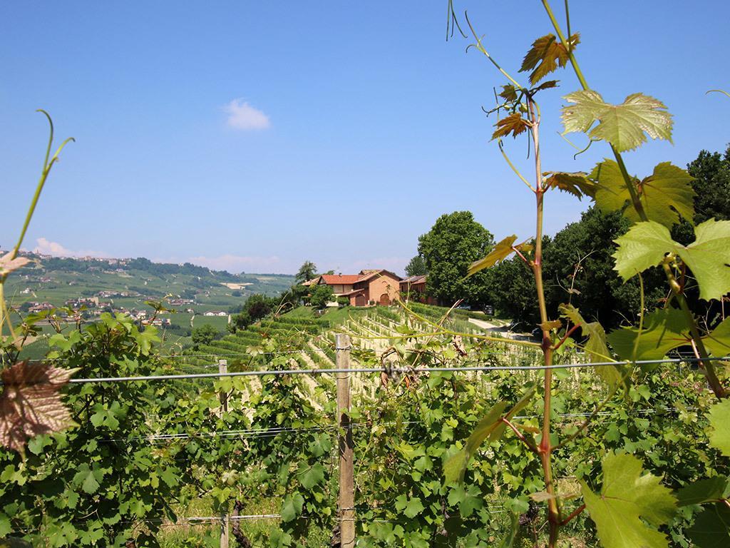 Tenuta Montanello B&B Castiglione Falletto Extérieur photo