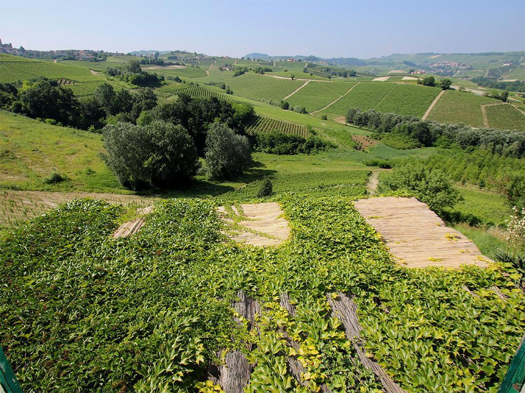 Tenuta Montanello B&B Castiglione Falletto Extérieur photo