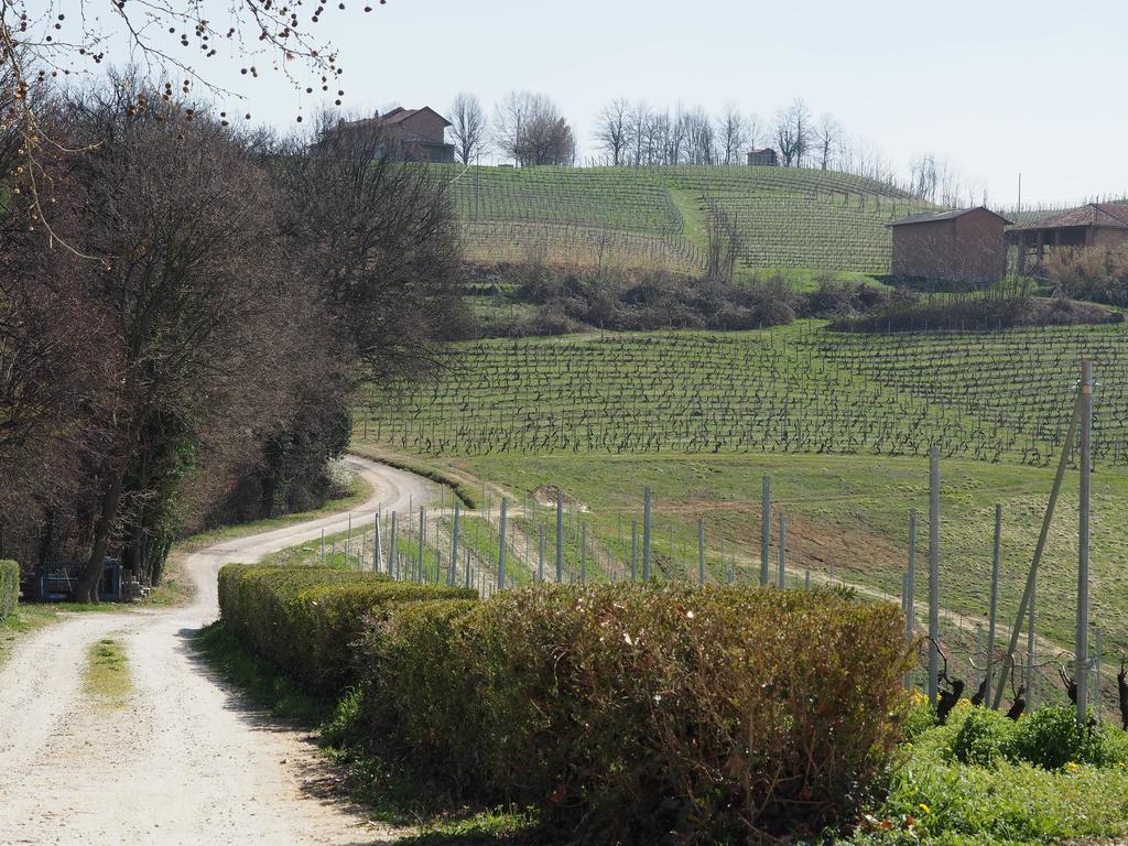 Tenuta Montanello B&B Castiglione Falletto Extérieur photo